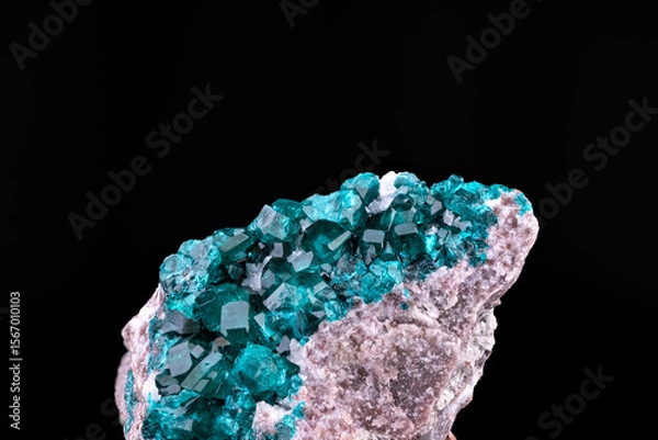 Fototapeta Dioptase. Specimen from Tsumeb Mine, Namibia. macro photography detail texture background. close-up mineral crystal unpolished semi-precious gemstone