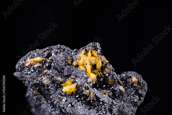 Fototapeta Yellow Sturmanite on black Manganite. Specimen from N'Chwaning 2, South Africa. macro photography detail texture background. close-up mineral crystal unpolished semi-precious gemstone
