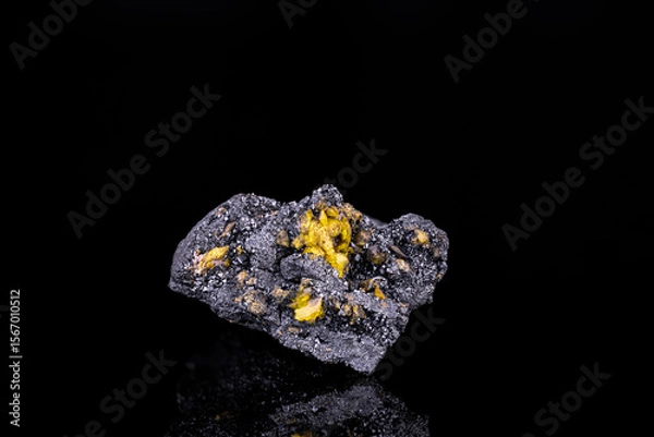 Obraz Yellow Sturmanite on black Manganite. Specimen from N'Chwaning 2, South Africa. photography isolated on black background. macro detail close-up mineral crystal unpolished semi-precious gemstone
