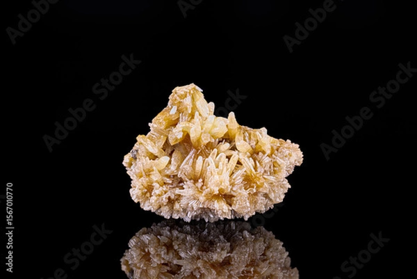 Fototapeta yellow Mimetite. Specimen from Tsumeb Mine, Namibia. photography isolated on black background. macro detail close-up mineral crystal unpolished semi-precious gemstone