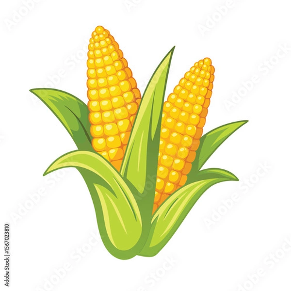 Fototapeta corn isolated vector on white background
