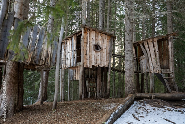 Fototapeta A group of tree houses are built in a forest
