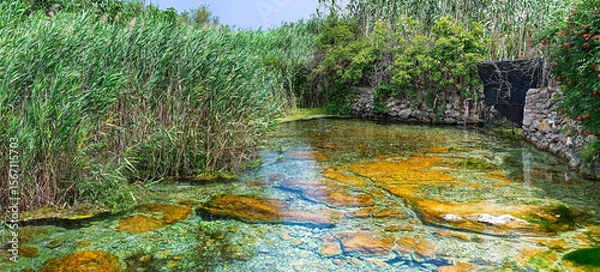 Obraz Immerse yourself in the expansive beauty of Sorgente Crocefisso, a hidden gem feeding Lake Varano in Puglia, Italy. This panoramic view captures the lush, towering reeds framing the spring's entry, wh