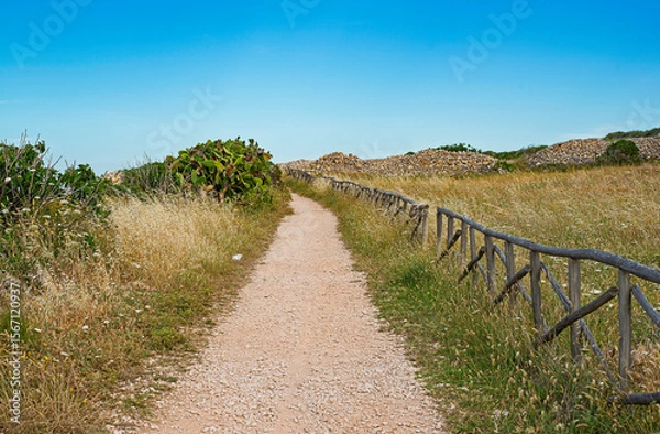 Fototapeta A tranquil dirt path winding through sun-drenched fields, flanked by rustic wooden fencing and natural vegetation under a clear blue sky. Evokes journey, escape, and the beauty of nature. Perfect for 