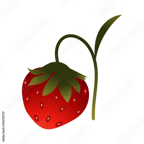 Obraz Strawberry. Ripe red berry close-up. Vector illustration isolated on white background.