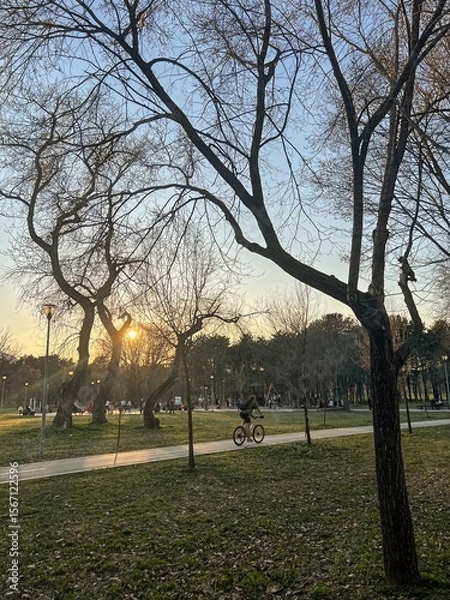 Obraz Cyclist in City Park at Sunset with Bare Trees