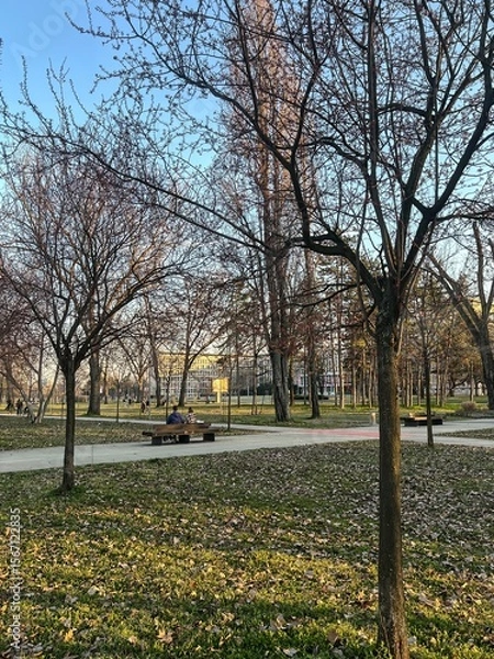 Obraz  Early Spring City Park with People and Bare Trees