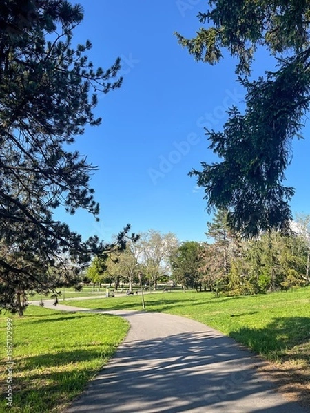 Obraz  Open City Park with Benches and Curved Walking Path