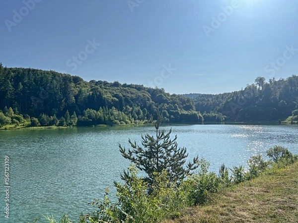 Obraz Forest Lake View with Sparkling Water on a Summer Day