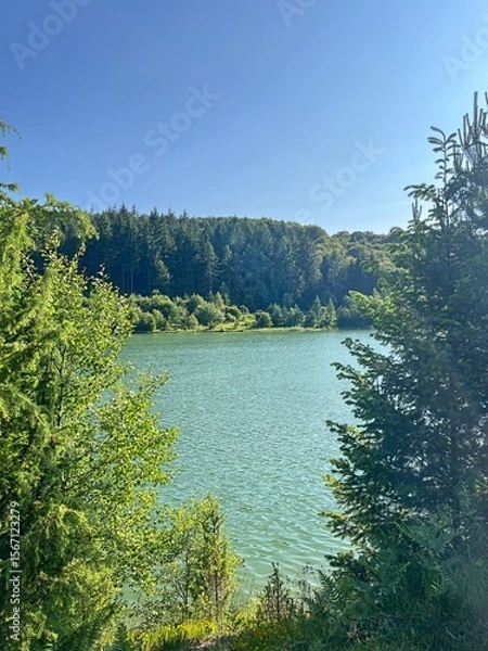 Obraz Hidden Lake View Through Trees in Summer Forest
