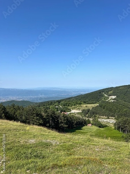 Obraz  Mountain Hillside with Forest and Distant Valley View