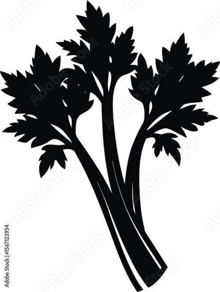 Obraz celery on white background.eps