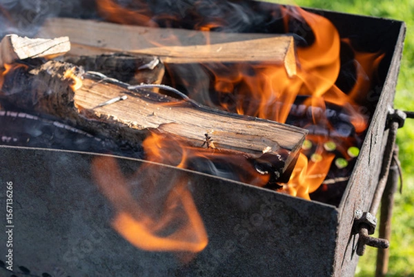 Fototapeta A bark beetle burns atop a smoldering log in vivid orange flames. A visceral symbol of forest infestation, ecological tension, and the omnipresence of wood-boring insects, even in firewood.
