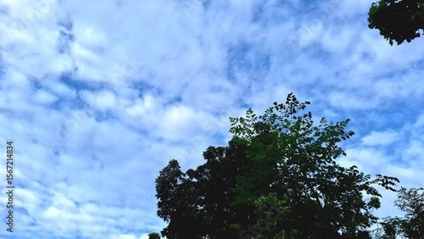 Obraz Tropical forest tree leaves surrounding blue sky and fluffy clouds, peaceful and calm natural scene ideal for eco themes, summer vibe, environment, and outdoor wellness