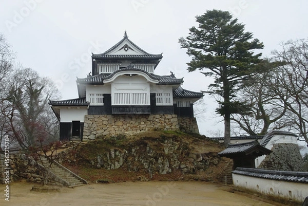 Fototapeta  日本：備中松山城跡／現存する天守閣【日本百名城・日本三大山城】岡山県高梁市