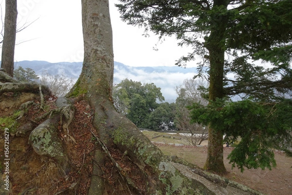 Fototapeta  日本：備中松山城跡／山と雲をバックに見下ろす城の遺構【日本百名城・日本三大山城】岡山県高梁市