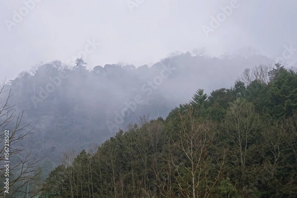 Fototapeta  日本：備中松山城跡／雲がかかった臥牛山【日本百名城・日本三大山城】岡山県高梁市
