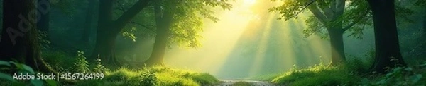 Fototapeta Ethereal Sunlight Dapples Lush Forest in Misty Morning, Creating a Breathtaking Escape to Natures Tranquility