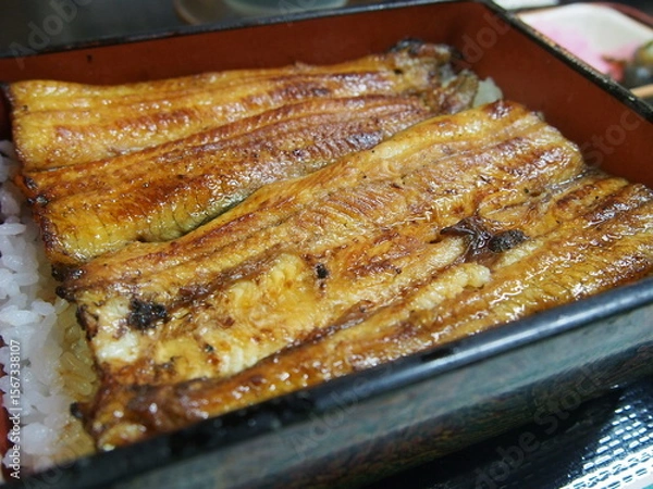 Fototapeta とろけるような舌ざわりの鰻重