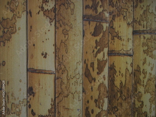 Obraz 古びた竹のテクスチャ