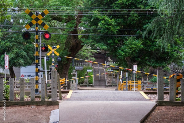 Fototapeta 神社の境内を電車が走る