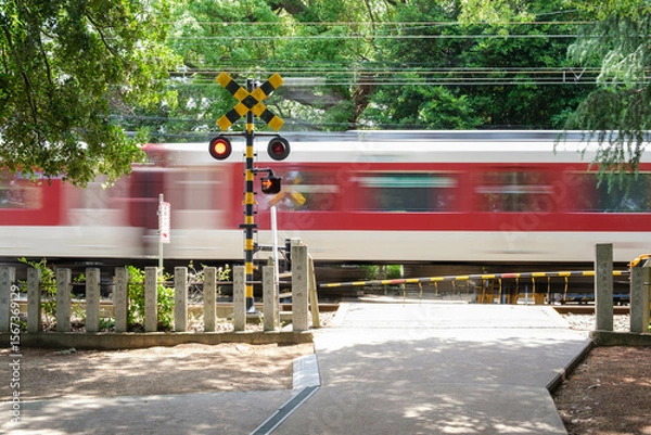 Fototapeta 神社の境内を電車が走る