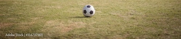 Obraz Football in a sports field