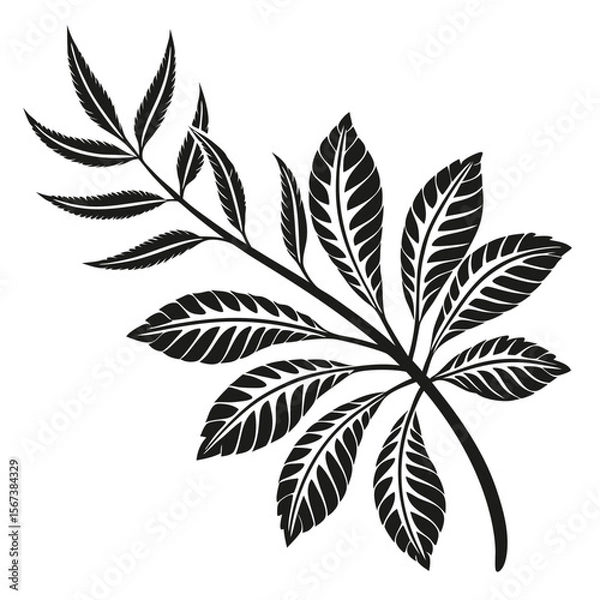 Fototapeta Black and white decorative branch with leaves illustration