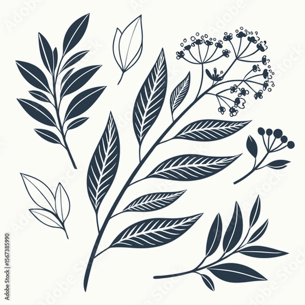 Fototapeta Collection of leaves and branches