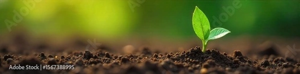 Fototapeta Green Arrow Sprouting from Seed Growth, Ambition, and the Journey of Life