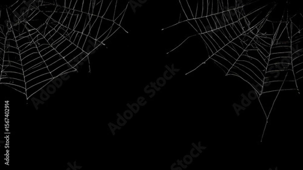 Fototapeta Halloween background with symmetrical spiderwebs for spooky designs. Ideal for party invitations, social media posts, and spooky-themed graphics.