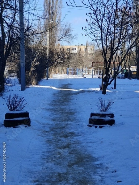 Obraz winter in the park