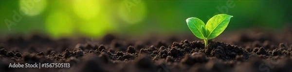 Fototapeta A lush green plant is partially submerged in soil, its leaves peeking out from the freshly turned earth, symbolizing the burial of nature's beauty , buried, root, natural