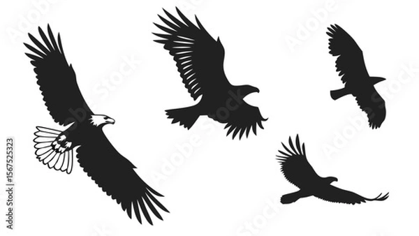 Obraz Birds Flying Silhouette Vector Pack