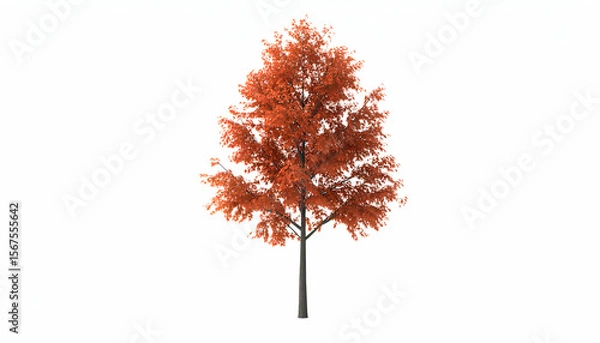 Fototapeta Autumn tree with orange leaves, and white background.