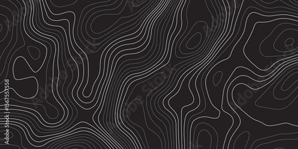 Obraz A minimalist, abstract background featuring a topographical map pattern. Thin, flowing contour lines in shades of light grey and white undulate across a dark, solid grey or black canvas.