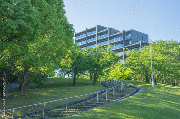 Fototapeta 千里の街並み・公園と住宅