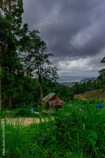 Fototapeta View from Kalim Mountains of Patong Beach in the island of Phuket Thailand, turquoise blue waters of the Andaman and lush green mountains