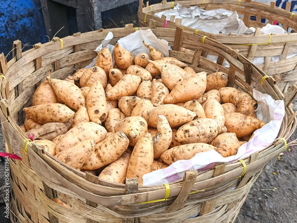 Obraz Sweet potatoes piled high in a woven basket.