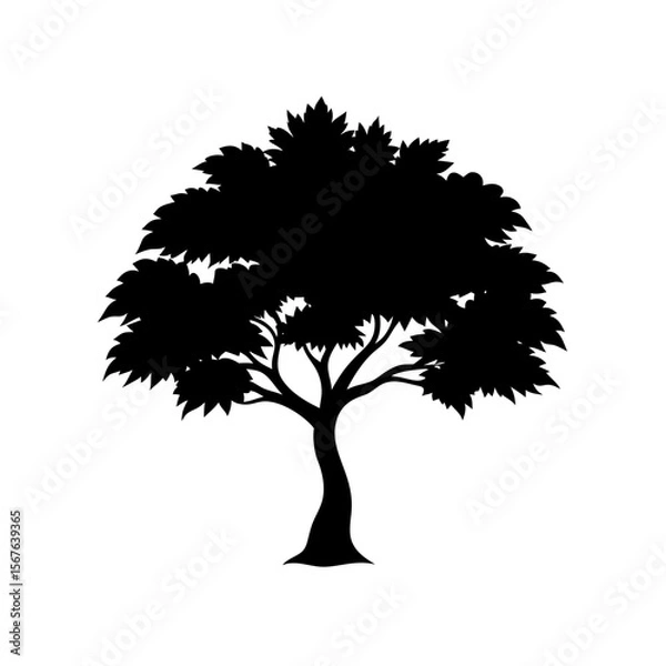 Fototapeta Japanese Maple Tree Silhouette With Delicate And Artistic Branches