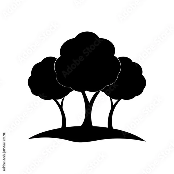 Fototapeta A Group Of Three Leafy Trees Forming A Small Grove For A Park Scene