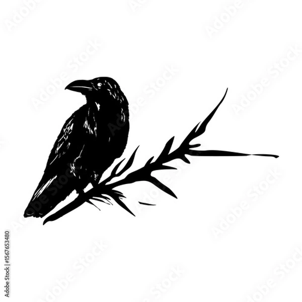 Fototapeta crow on a branch vector