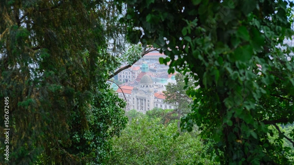 Fototapeta Pathway framed by dense green foliage leading to a view of rooftops and city in the distance.