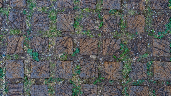Fototapeta Top-down view of square paving blocks with tree ring texture, partially overgrown with grass and weeds.