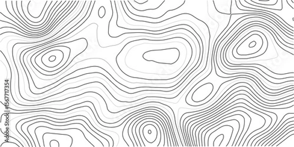 Obraz Topographic contour background. white background and black wave lines pattern texture