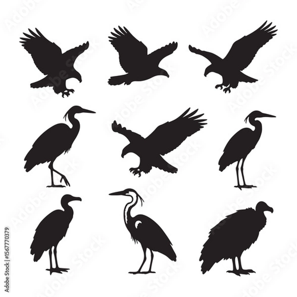 Fototapeta Collection of Nine Black Silhouettes of Birds Eagles Herons and a Vulture on White Background Bird Silhouettes Set Wildlife Vector Graphic