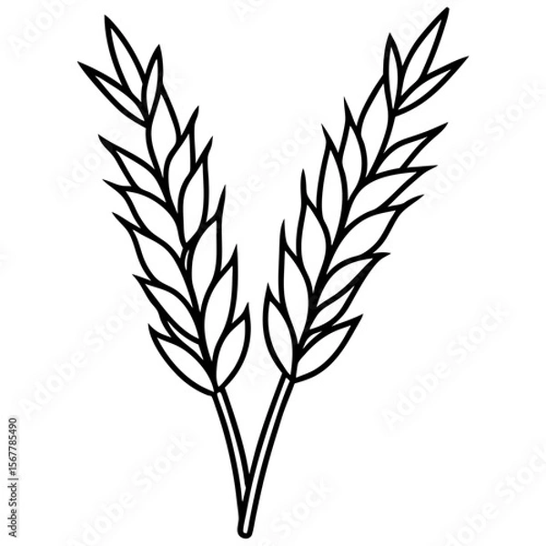 Fototapeta Heather line art vector