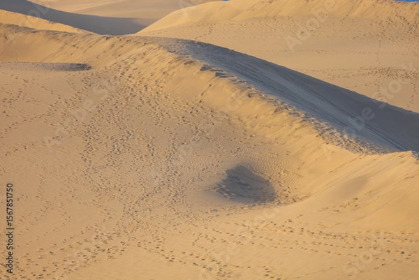 Fototapeta Sand dunes in the Maspalomas area of ​​Gran Canaria Spain