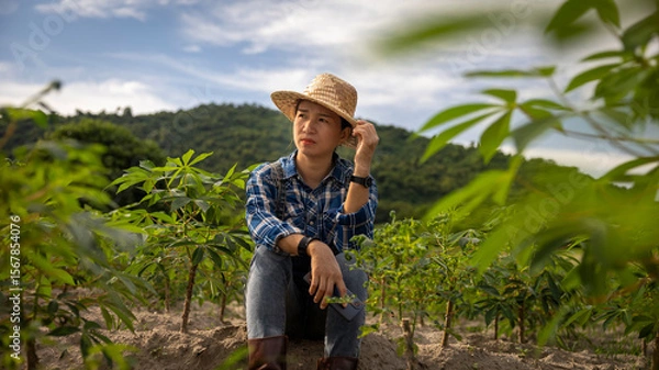 Fototapeta Young Farmer Resting in Cassava Field at Sunset