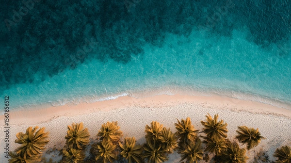 Fototapeta Tropical beach, aerial view